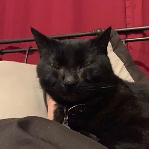 Meet your Posher, Walter